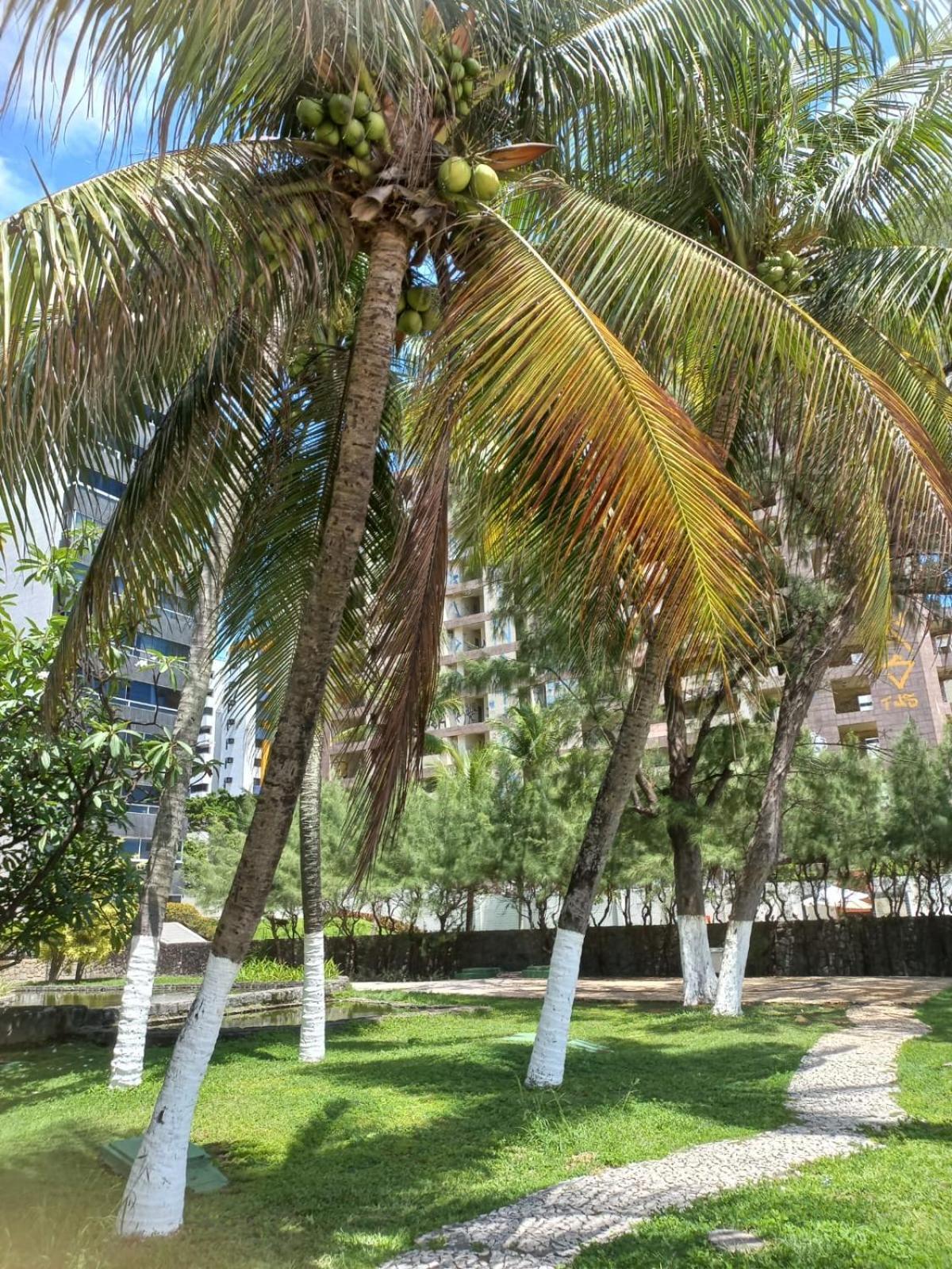 Golden Beach Flat Na Praia Piedade Jaboatao dos Guararapes Exterior photo